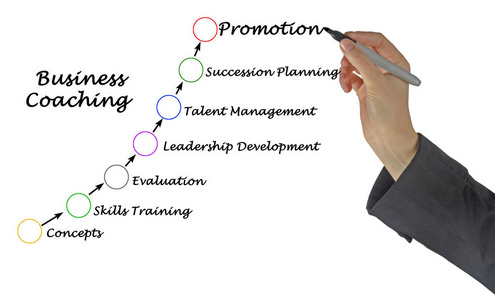 Seven components of Business Coaching 