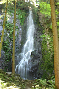 夏天 石头 风景 自然 落下 流动 旅游业 旅行 瀑布 森林