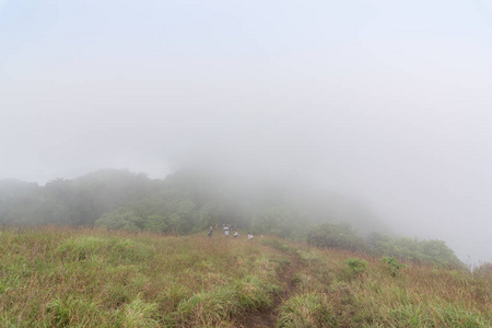 雾和青草山顶在蒙宗道，泰国