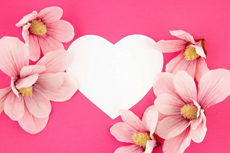 白色的纸心和玉兰花的粉红色背景。爱的幸福，情人节，母亲节的概念