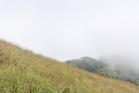 雾和绿草山顶在孟正道，泰国雾和绿草山顶在孟正道，泰国