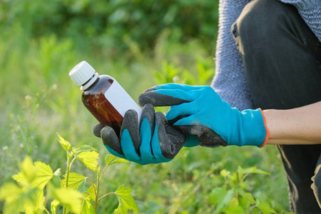 春天在花园里干活，手里拿着一瓶化肥杀菌剂
