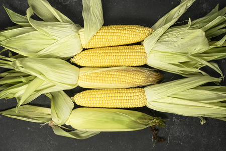 新鲜玉米，特写，深色背景，顶视图