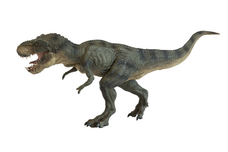 霸王行动白色背景上的霸王龙肖像照片