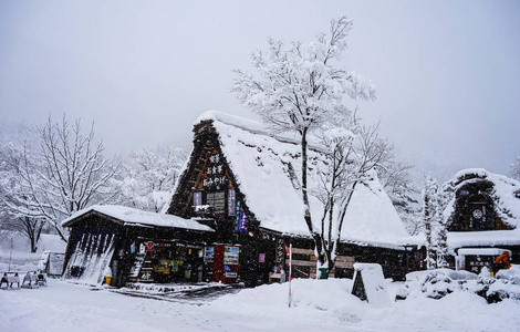 白桦村风景秀丽