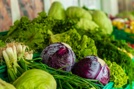 a wide shoot to some lettuce and red cabbage  pastel colors on 