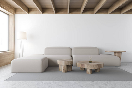 斯堪的纳维亚风格的白色客厅