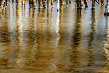 Water in a flooded reservoir reflects trees from above 