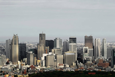 城市 经济 天空 摩天大楼 地标 旅行 亚洲 建筑学 新宿