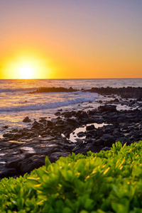 海滩 太阳 天堂 轮廓 日落 冲浪 旅游业 太平洋 考艾