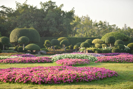 夏天 花园 园艺 植物学 开花 花瓣 风景 天空 景观 美女