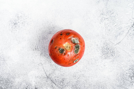 烂番茄插画图片