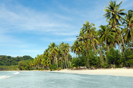 Coconut Island landscape of tropical beach 