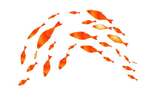 美丽的鲱鱼图片