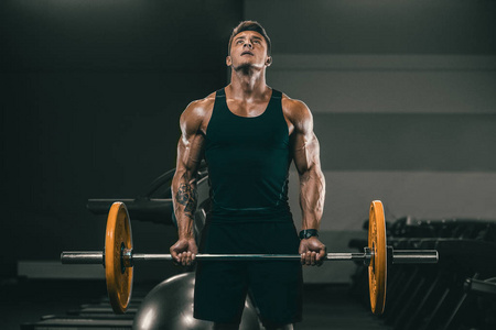 员使用战斗绳训练高强度训练茶运动型肌肉男悬挂在健身房的单杠上水果