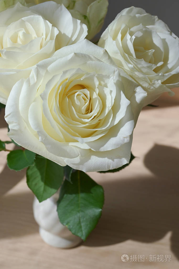 清晨阳光明媚的花瓶里绽放着美丽的白玫瑰花