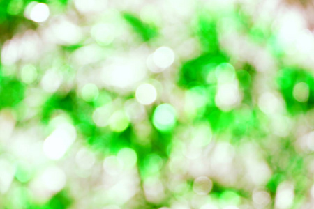 艺术 郁郁葱葱 透镜 自然 森林 季节 树叶 集中 气泡