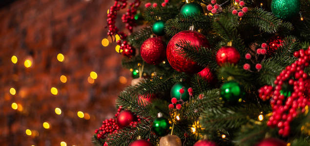 季节 小玩意 十二月 招呼 前夕 庆祝 假日 圣诞节 冬天