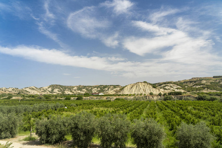 Basilicata Policoro附近的乡村景观