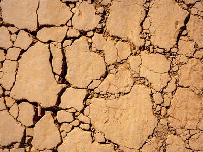 干旱环境图片