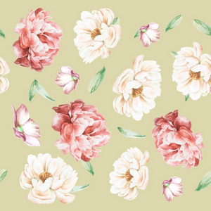 夏天 纸张 颜色 漂亮的 柔和的 植物学 春天 清白 玫瑰