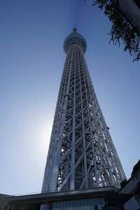 春天 在下面 旅行 亚洲 天空 京都 旅游 日本人 美丽的