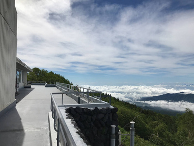 树叶 植物区系 美丽的 小山 风景 旅行 自然 花园 园艺