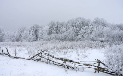 冬天的树在木栅栏后面被雪覆盖