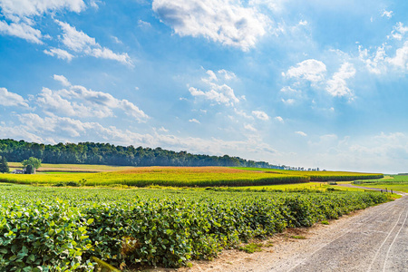 阿米什农场美国宾夕法尼亚州兰开斯特的阿米什乡村农场谷仓农业照片