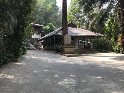木材 花园 美丽的 建筑学 风景 泰国 村庄 建设 夏天