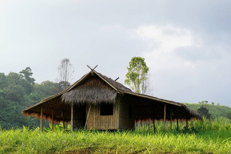 风景 小屋 森林 农业 旅行 建筑 天空 夏天 乡村 自然