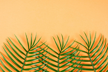 Tropical green leaf lay on orange background. Top view. 