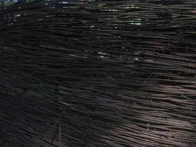 荆棘篱笆.小枝篱笆.照片