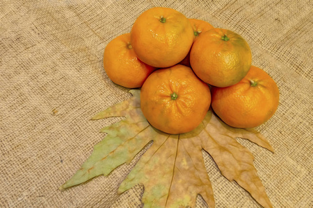 甜的 柑橘 颜色 维生素 食物 素食主义者 农业 收获 花园