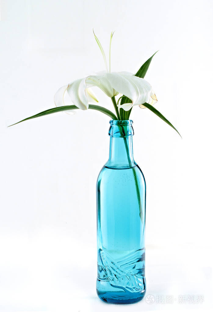白色背景蓝色瓶子里的百合花隔离特写