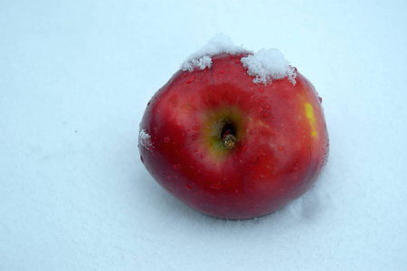 美女 水果 食物 冬天 雪花 寒冷的 苹果 自然 生态友好型