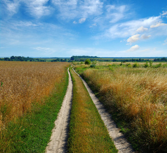 road in field 