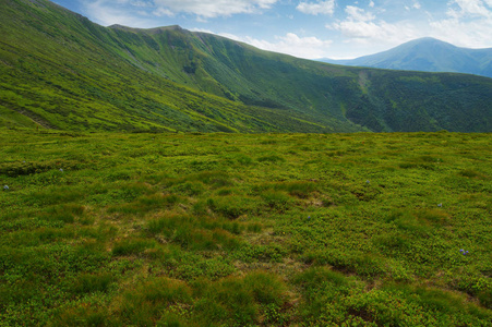 夏季山地景观