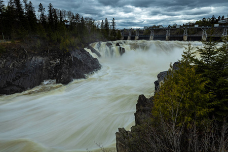 加拿大 岩石 流动的 自然 瀑布 风景 流动 小溪