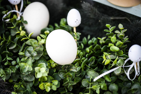颜色 假日 自然 春天 蛋壳 卡片 农场 食物 季节 鸡蛋