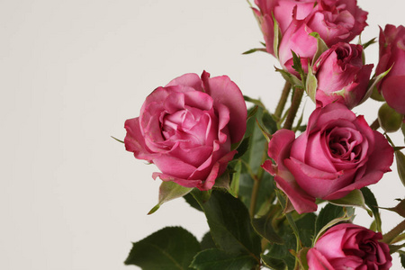 Red roses flower bouquet on light background. 