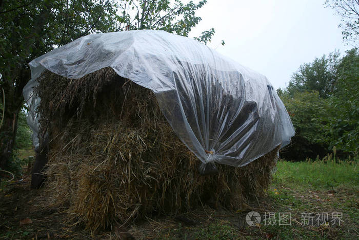 一堆米绿草丛中的一堆干草蓝天下绿草地上的一个大草堆