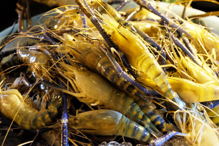 无脊椎动物 食物 美味的 动物 海鲜 市场 特写镜头 烹饪