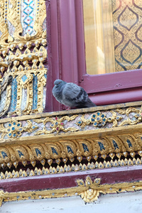 文化 杂色 艺术 建筑学 亚洲 动物 古老的 泰语 传统