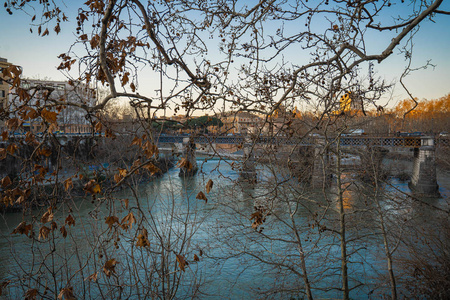 罗马台伯河上透过秋天的枝桠，可以看到吗