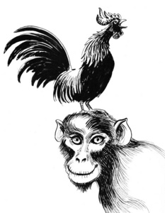 猴子 素描 墨水 艺术 马戏团 插图 动物 艺术品 公鸡
