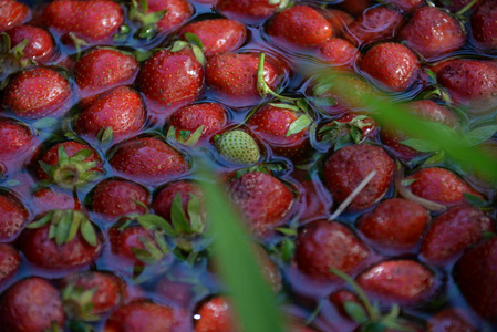 草莓 夏天 素食主义者 收获 特写镜头 水果 美味的 甜点