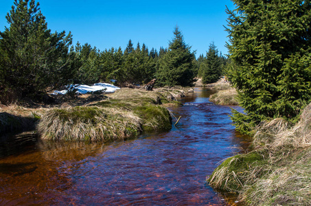 Jizera stream near to settlement Jizerka 