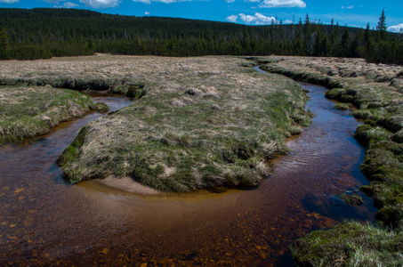 Jizera stream near to settlement Jizerka 