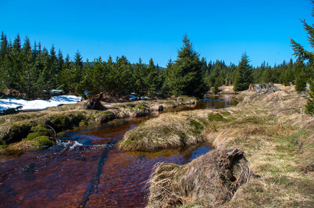 Jizera stream near to settlement Jizerka 